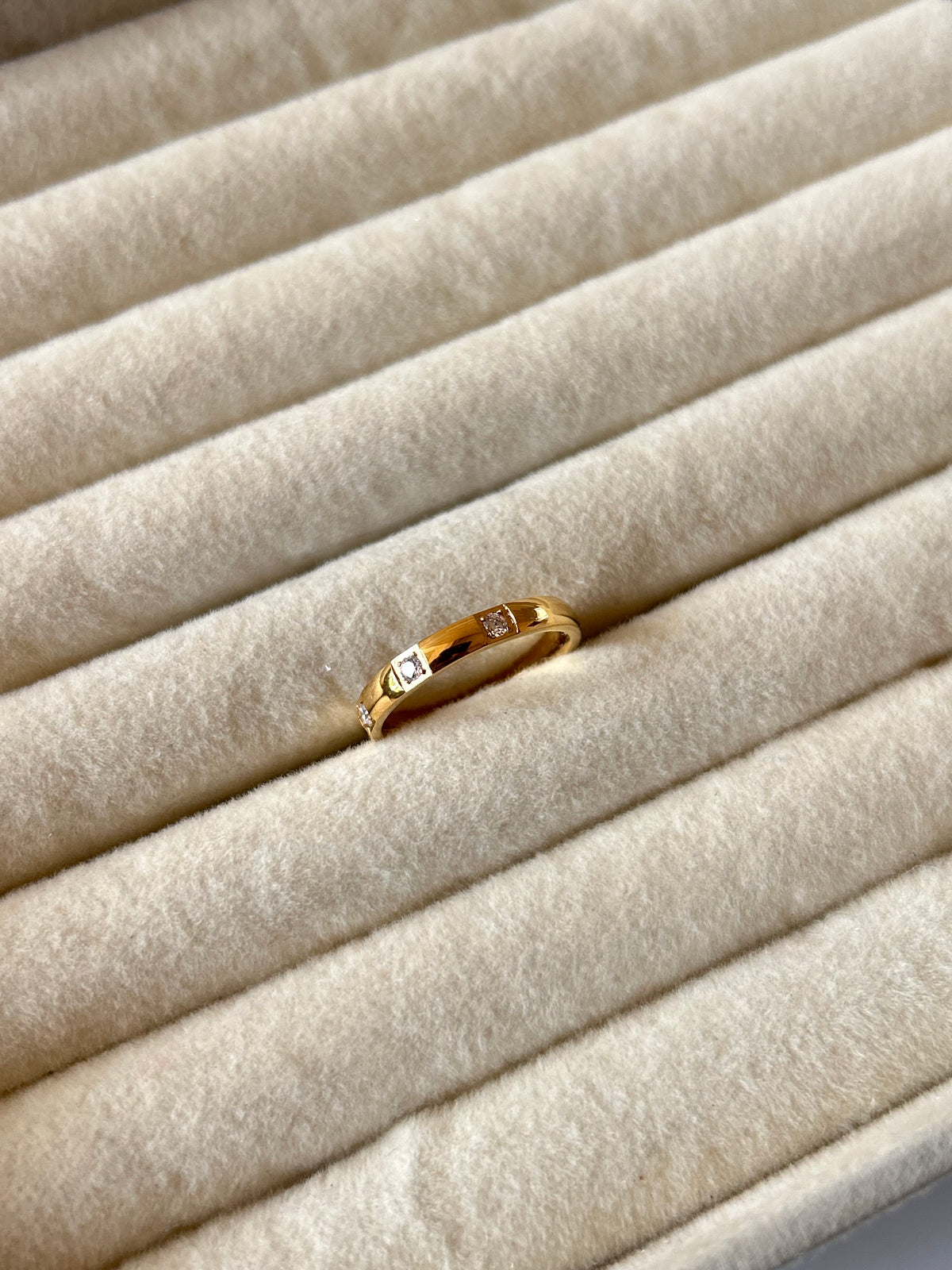 Ivy Band