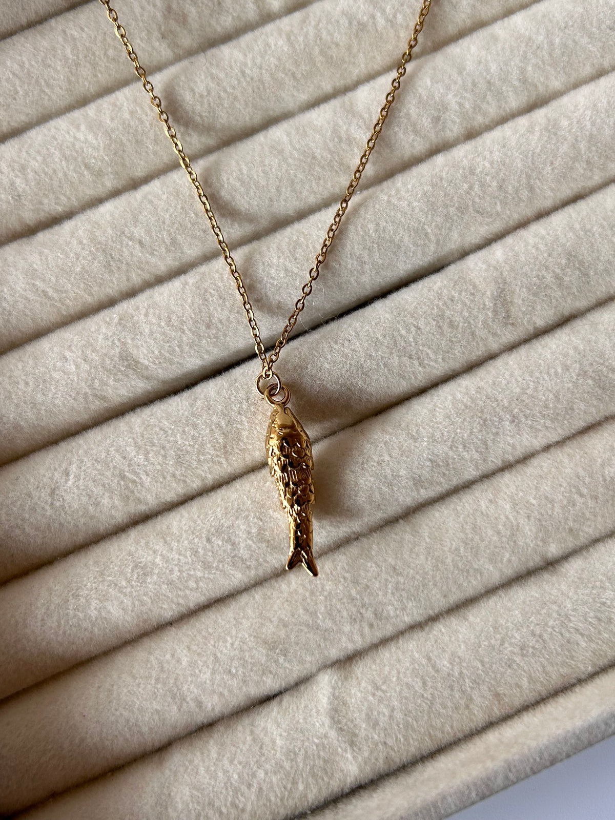 Ocean Fin